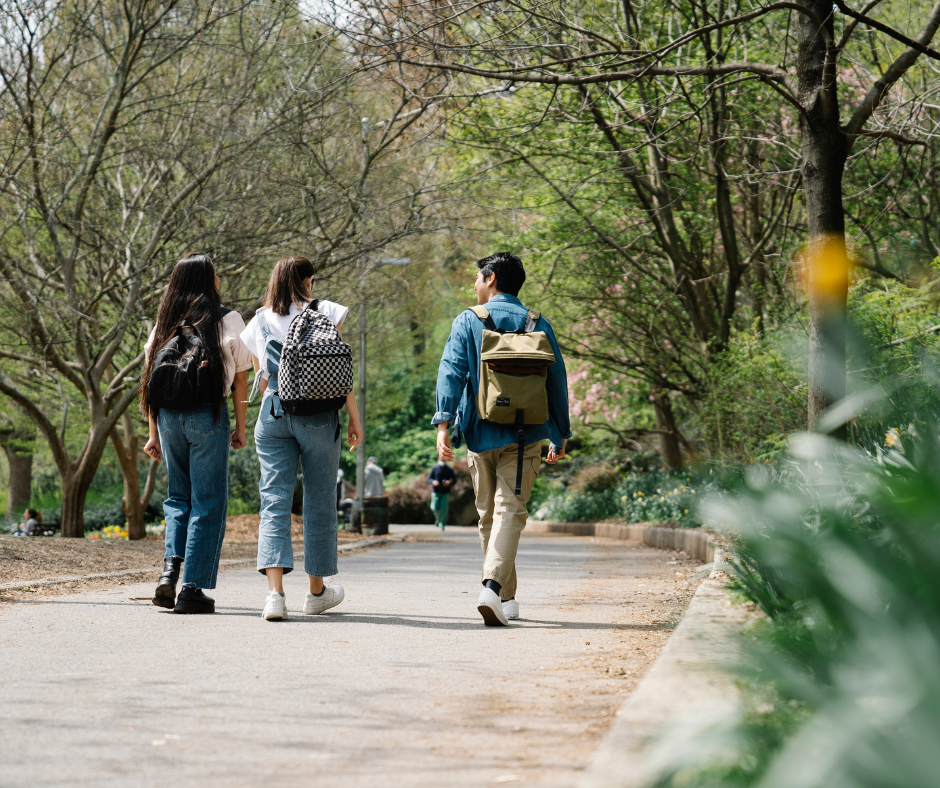 Young people walking along a wide path fringed with trees